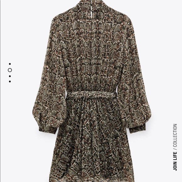 Zara animal print dress. - Picture 3 of 4